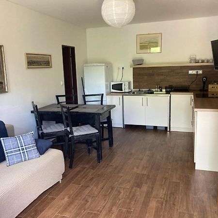 Apartament Apartman Zidovice Louny Zewnętrze zdjęcie