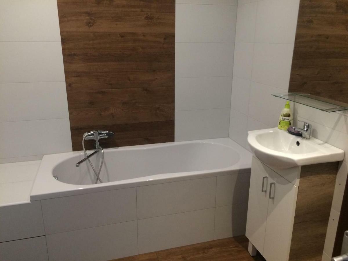 Apartament Apartman Zidovice Louny Zewnętrze zdjęcie